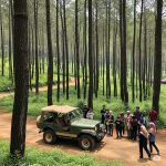 WhatsApp Image 2025-07-10 at 12.03.25