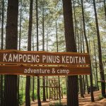 WhatsApp Image 2025-07-10 at 12.30.18